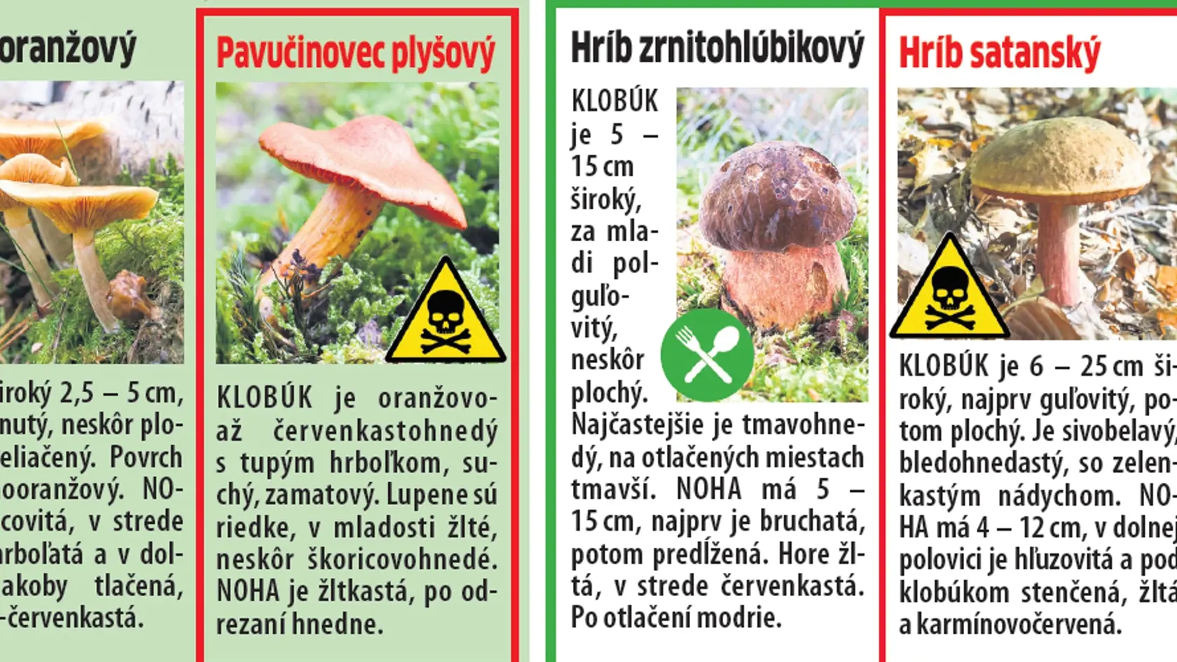 Nepopleťte si jedlé s prudko jedovatými.