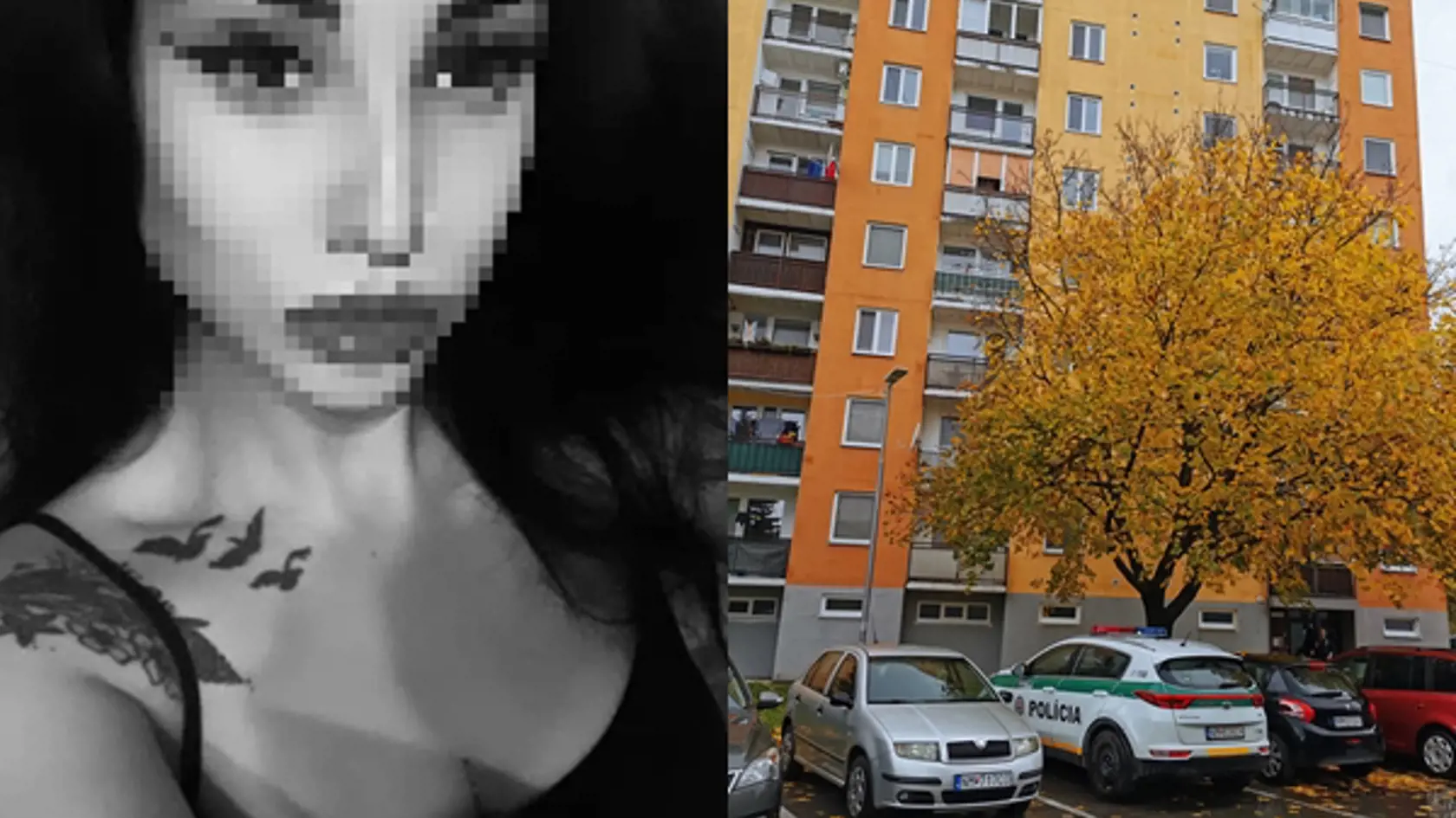 Podľa svedkov smrti mladého dievčaťa predchádzala hádka jej priateľa s iným mužom a tiež bitka.
