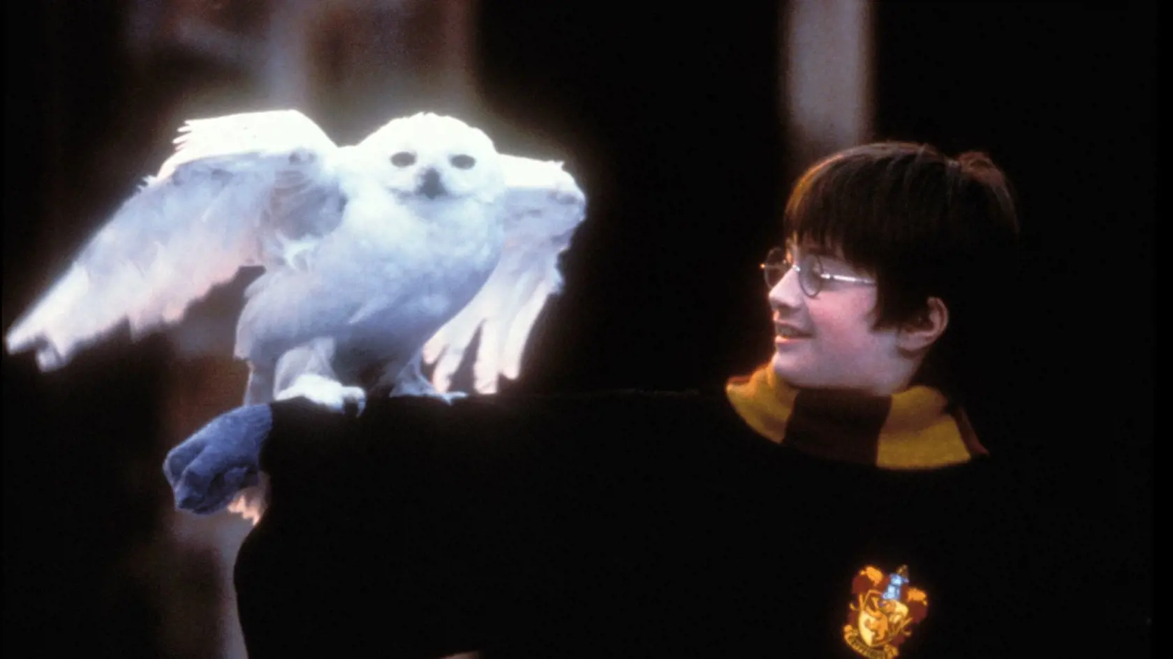 Harry Potter