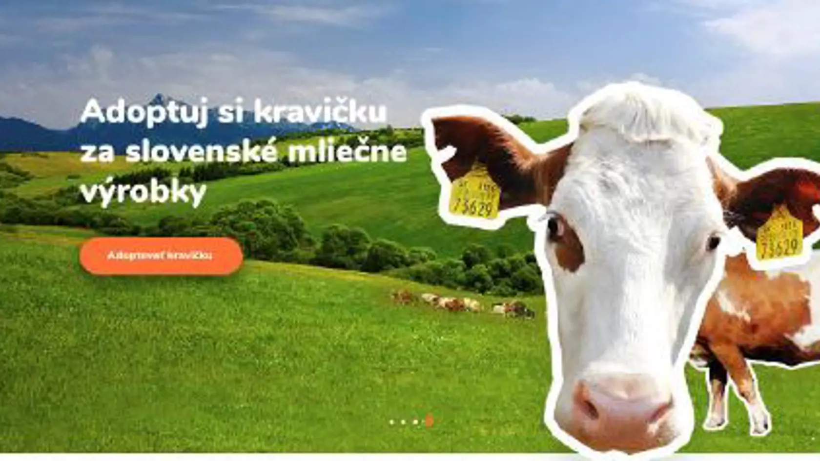 Projekt Adoptuj si kravičku sa spúšťa už túto sobotu.