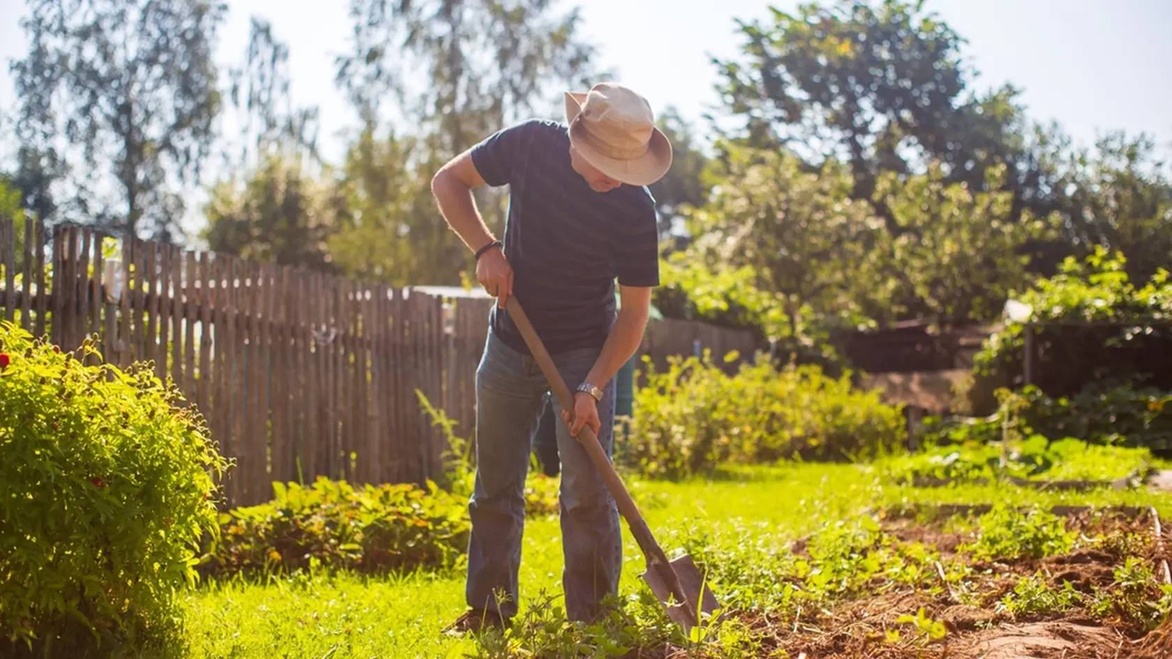 The farmer digs the soil in the vegetable garden. Preparing the soil for planting vegetables. Gardening concept. Agricultural work on the plantation.