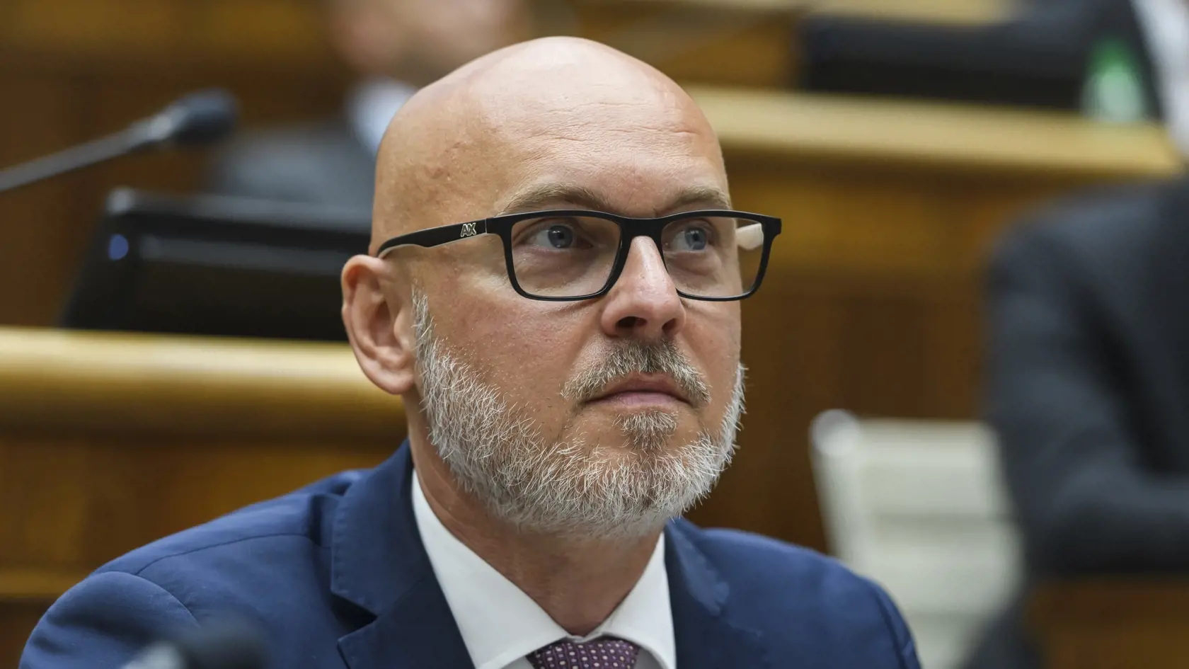 branislav grohling