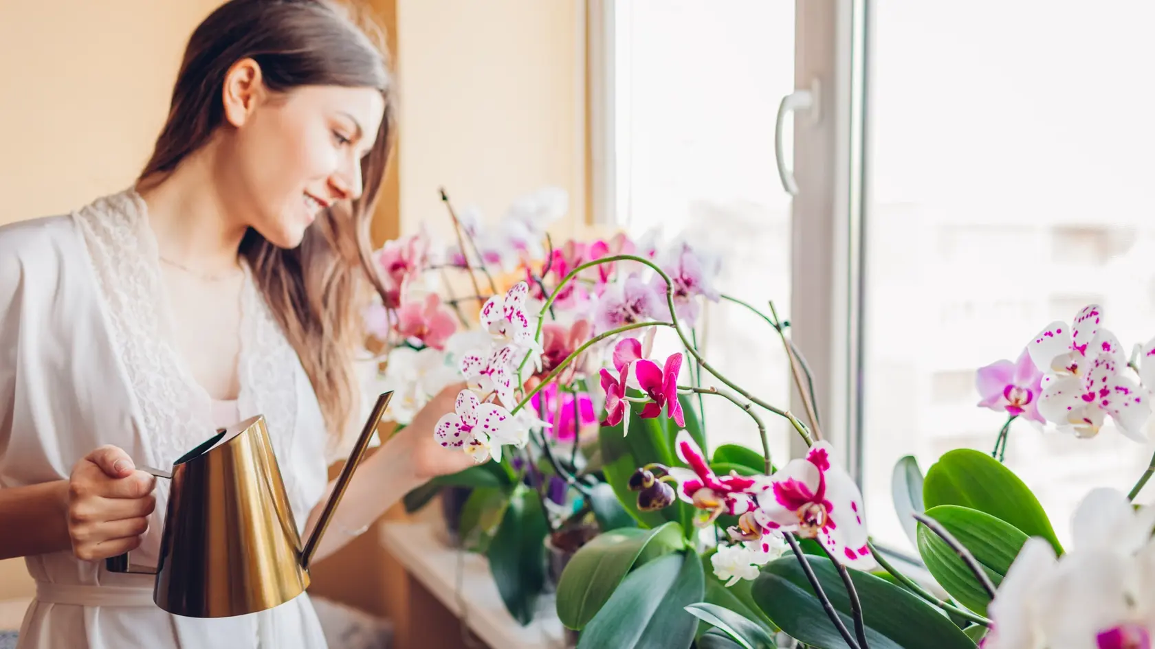 Vaše orchidey sa vám za banánové šupky odvďačia kvitnutím.