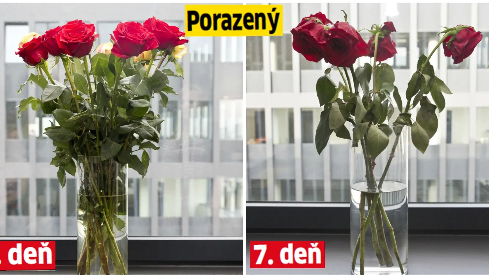 Červené ruže 17,50€/5 ks.