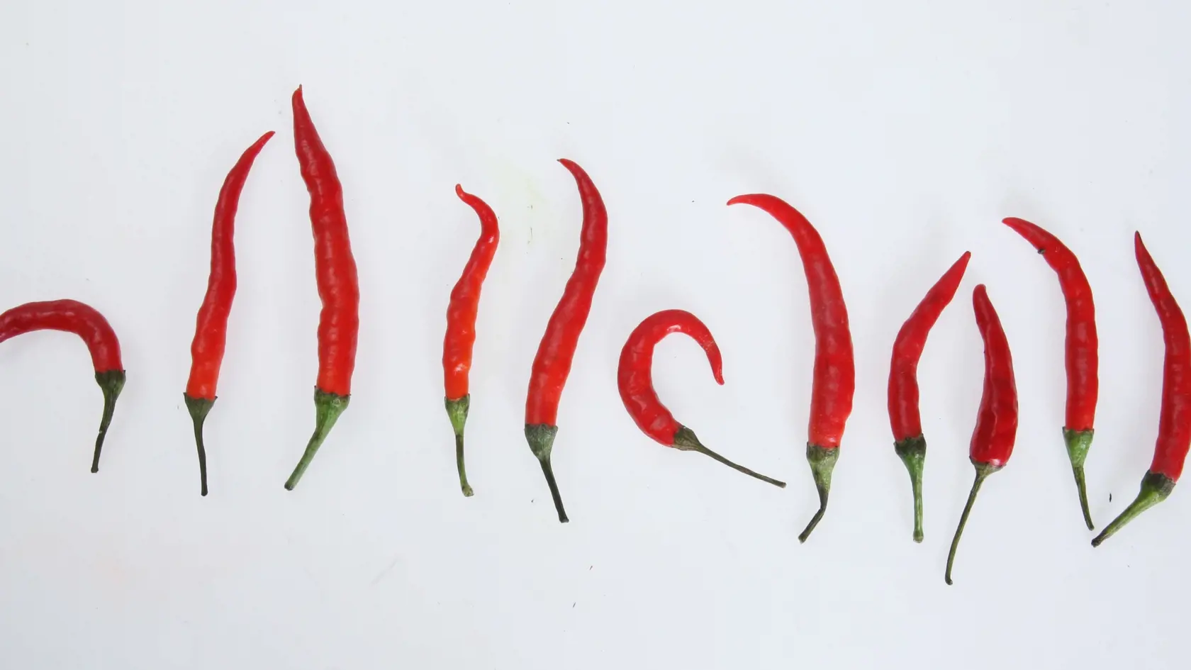 Čili, chilli