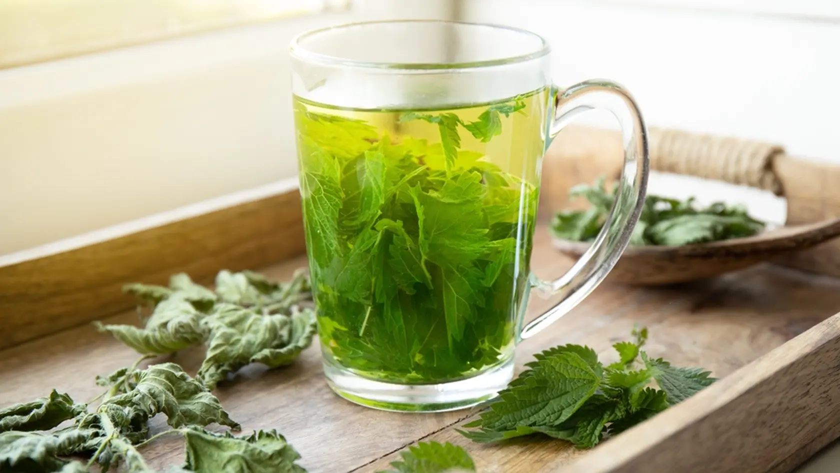 Herbal tea made of dry Urtica dioica, known as common nettle, burn nettle or stinging nettle leaves in clear glass cup. In home kitchen by the window.