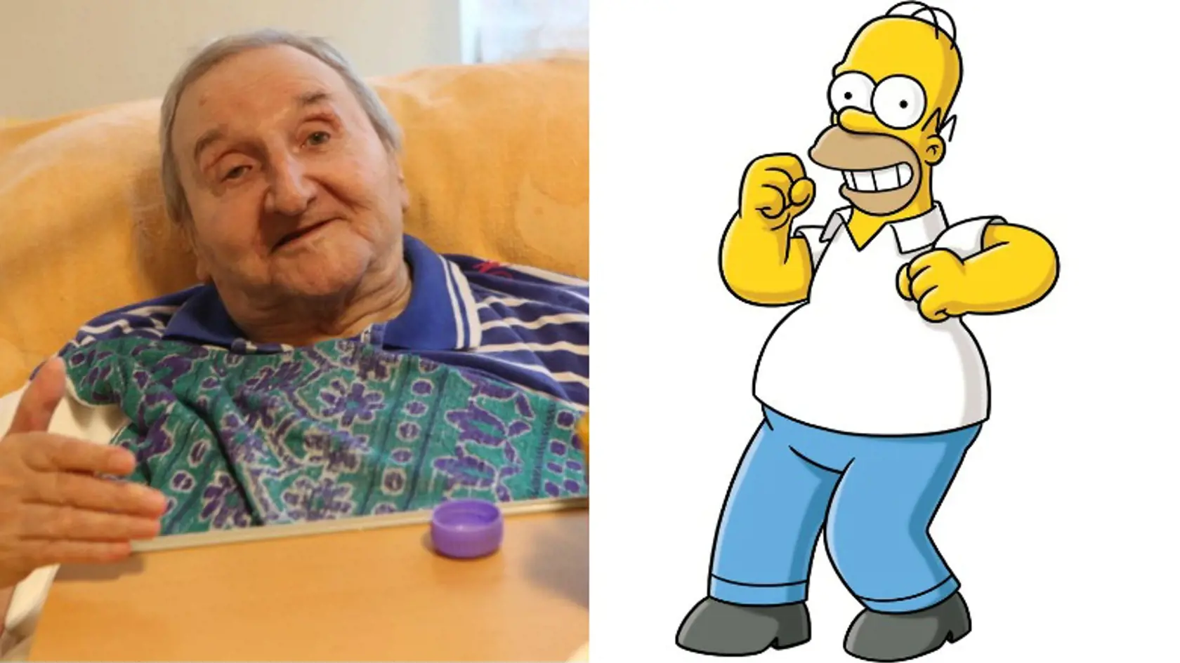 Vlastimil Berdna- Homer Simpson