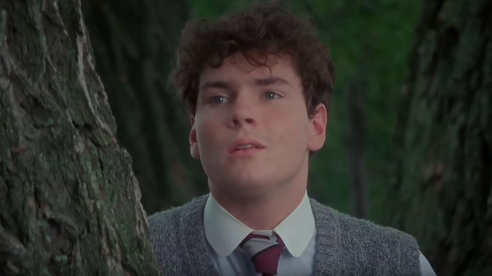 Gilbert Blythe bol prvou láskou mnohých dievčat, ktoré milovali príbehy o Anne zo Zeleného domu.
