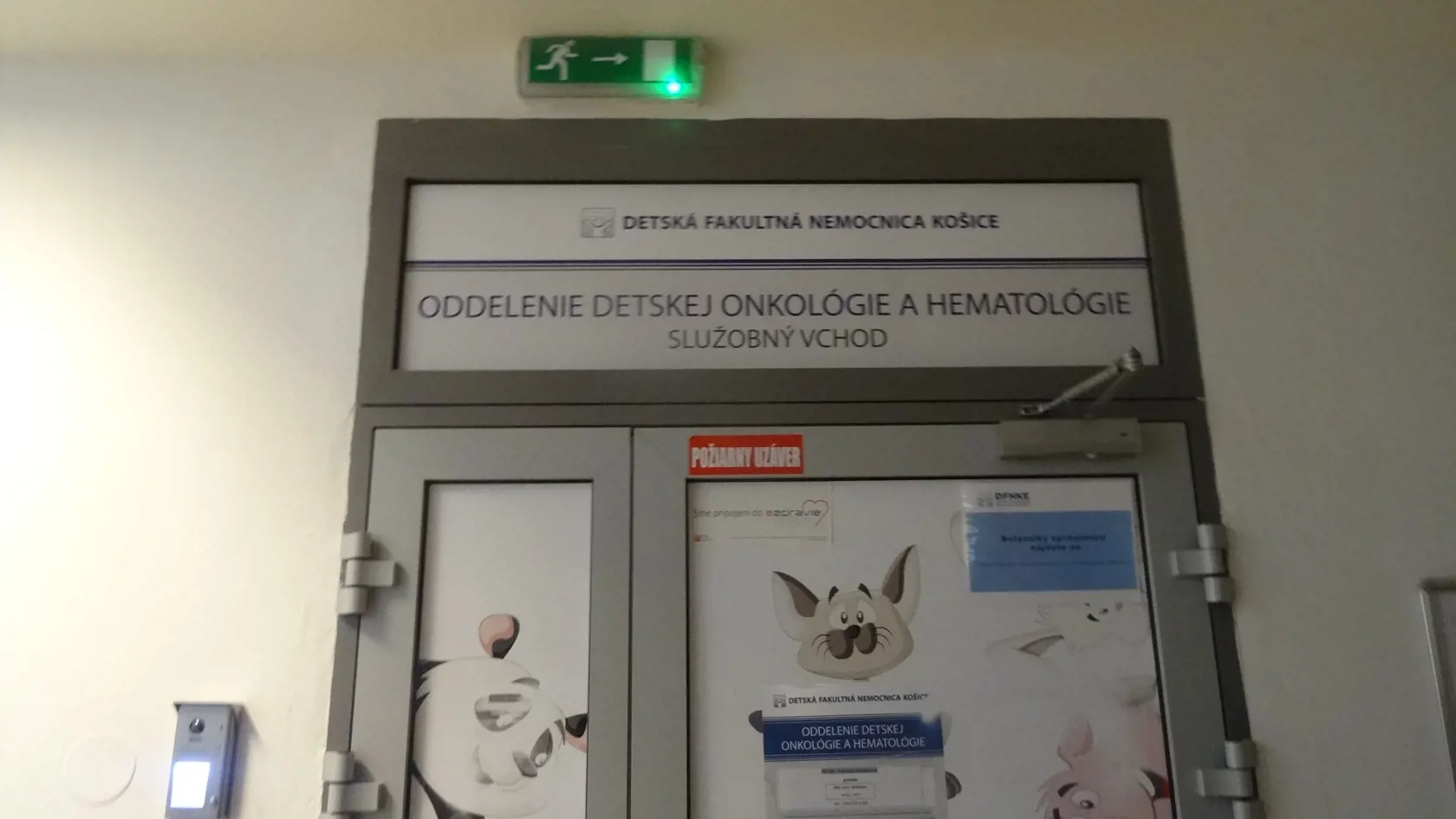 Vstup na Oddelenia detskej onkológie a hematológie DFN v Košiciach.