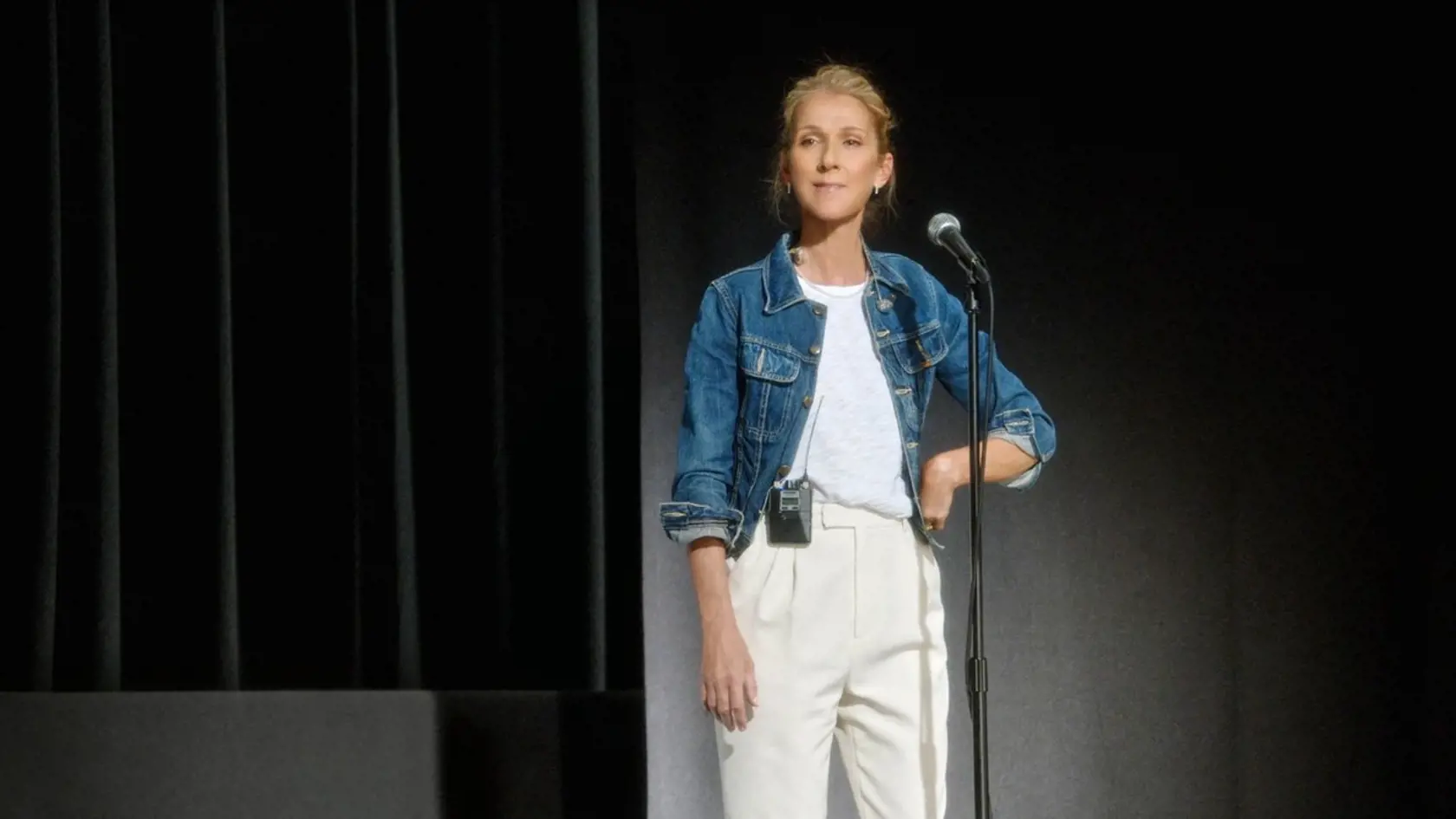 Speváčka Céline Dion.