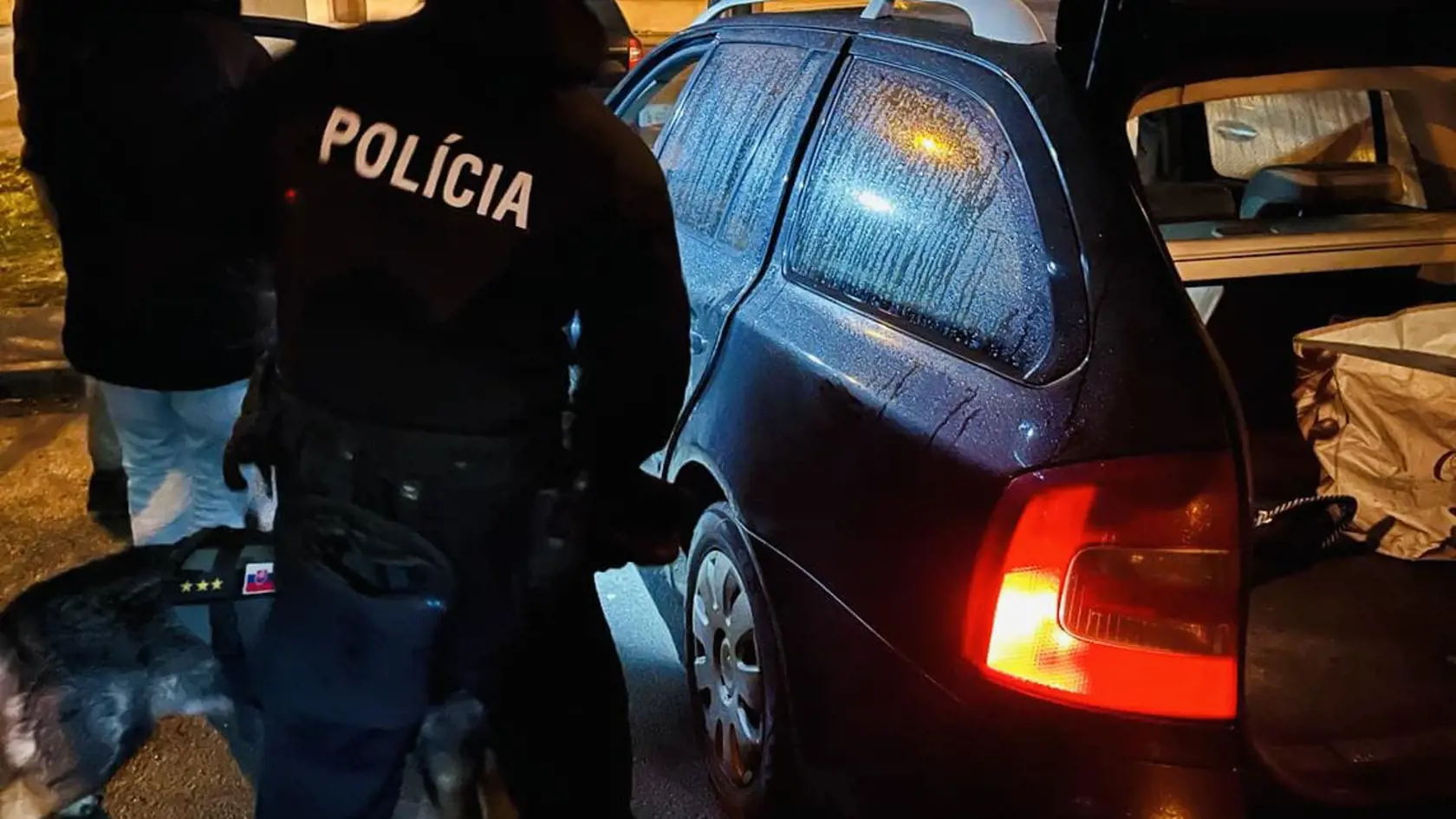 Policajti Národnej protidrogovej jednotky Prezídia Policajného zboru v spolupráci s kriminalistami Krajského riaditeľstva PZ v Košiciach, okresnými kriminalistami a za asistencie pohotovostných policajných útvarov z Košíc a Prešova vykonali rozsiahly zásah proti drogovým dílerom v metropole východu. V rámci akcie s krycím názvom "PIKNIK" sa podarilo odhaliť a zadržať viaceré podozrivé osoby.