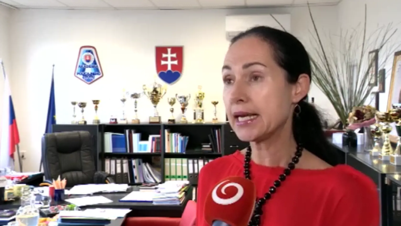 Expertka na trestné právo Lucia Kurilovská.