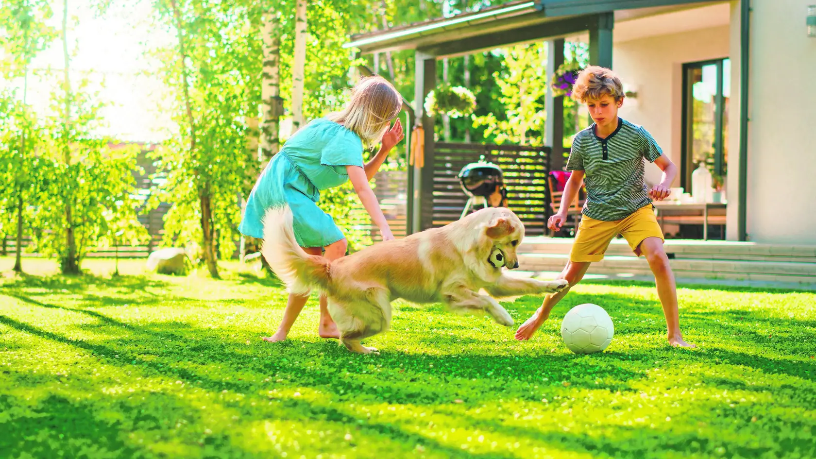 Väčšina detí psy miluje. Treba im však vybrať správne plemeno.