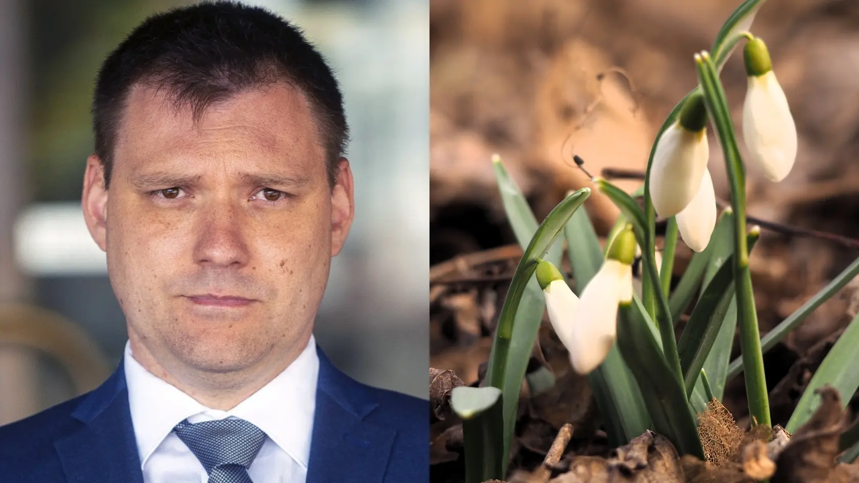 Taraba chce prehodnotiť spoločenskú hodnotu ochrany snežienok.