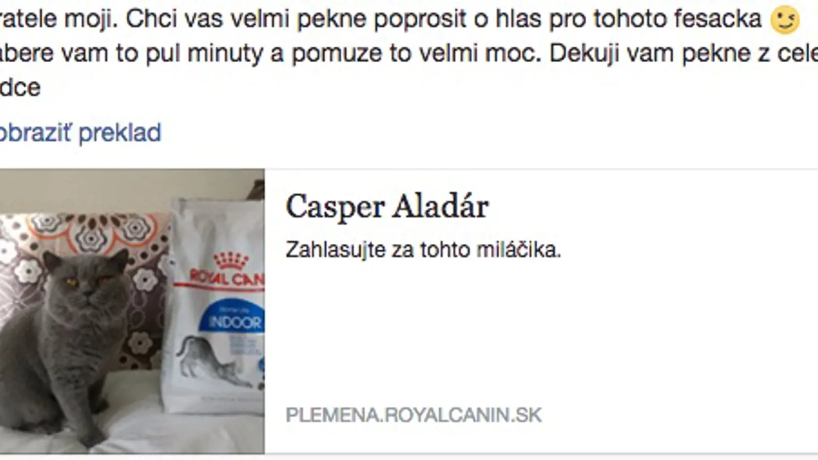Briatkovej fešák: V tomto prípade však nejde o žiadneho jej nového priateľa, ale sympatického šedého kocúra, pre ktorého zháňa hlasy v ankete.