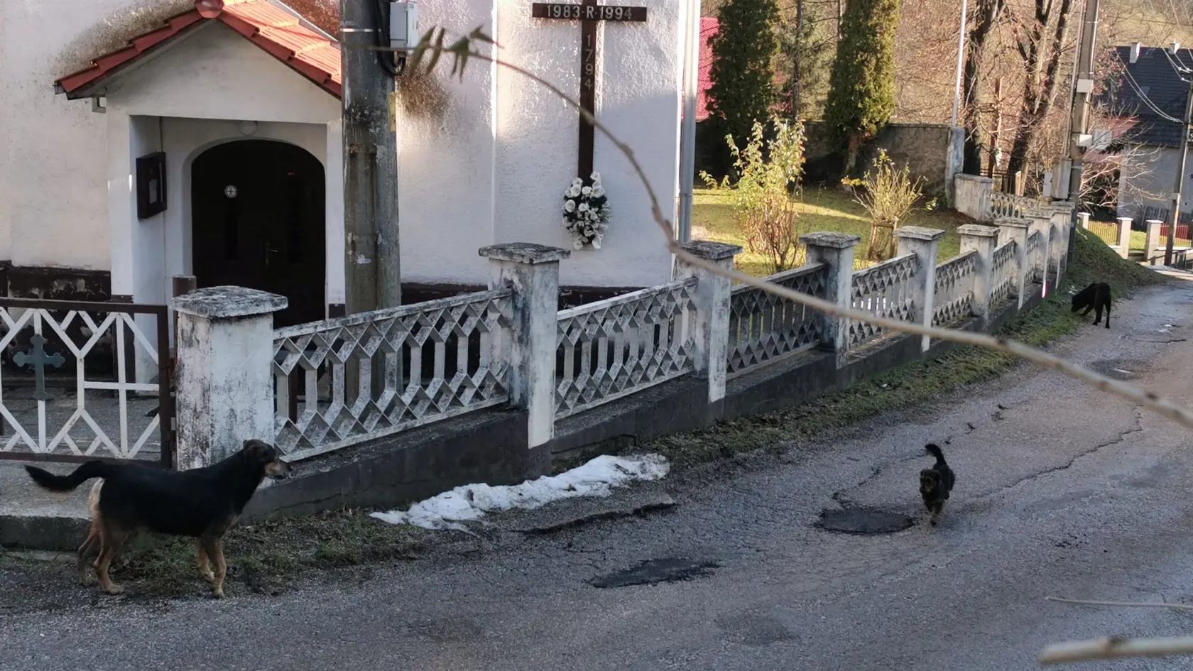 Koncom tohto roka sa stratilo extrémne veľa psov. Tento trend nastúpil už po Vianociach a pokračuje aj po novom roku. Tie sa potom voľne túlajú po dedinách, či mestách. Viaceré nemajú čip a nie je možné vypátrať ich majiteľa.