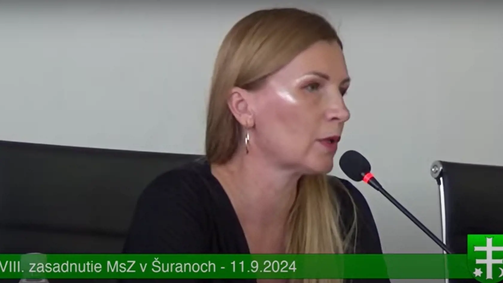 Týkali sa fyzických útokov na neho, jeho zástupkyňu Miroslavu Záhorákovú a niektorých poslancov.