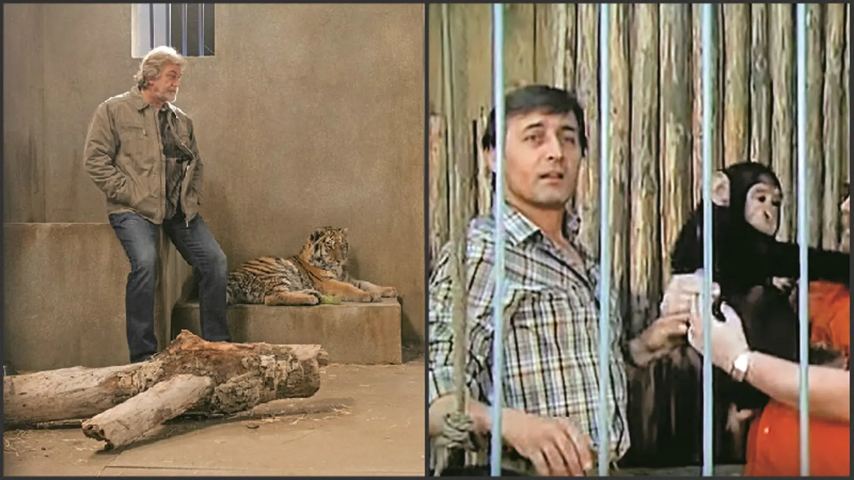 V seriáli je aktuálnym riaditeľom zoo Milan Bahúl (55). V Safari ho stvárňoval legendárny Michal Dočolomanský. Obaja riešia všetky problémy, ktoré sa týkajú zvierat a zamestnancov.
