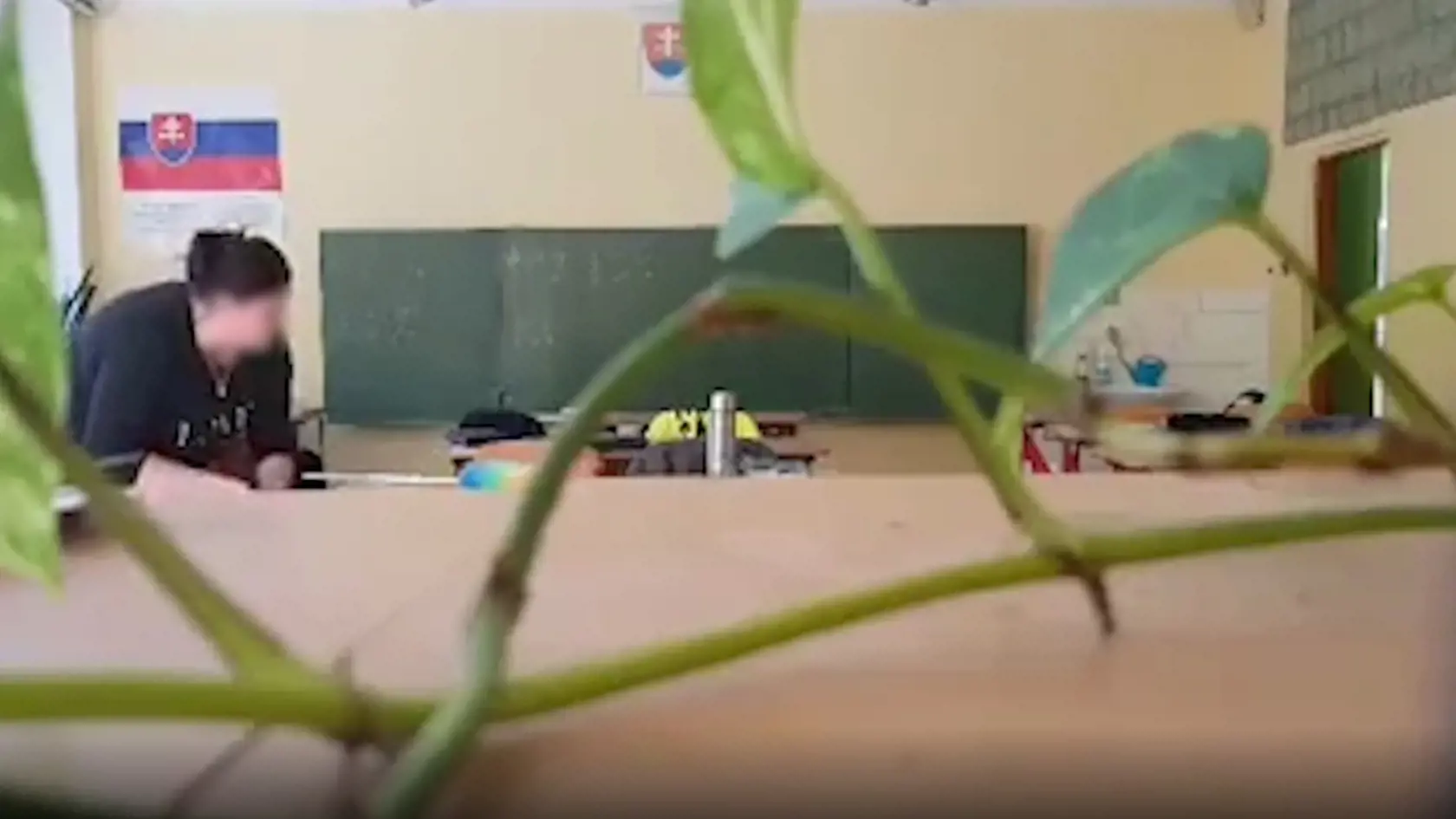 A opäť skúšala šťastie.