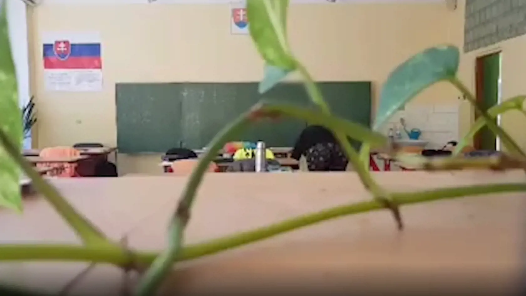 V peňaženke hľadala peniaze.