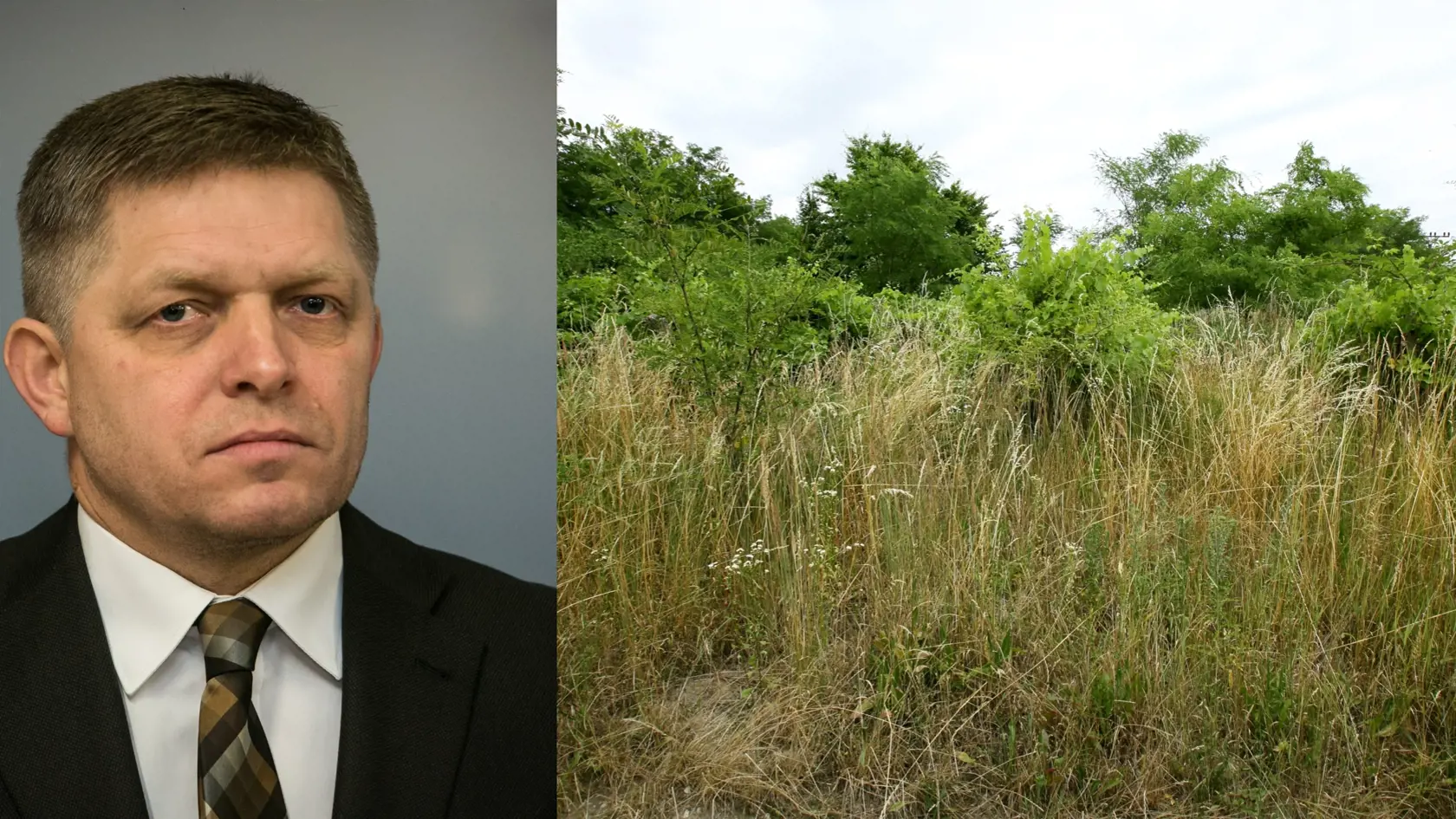 Robert Fico uviedol v majetkovom priznaní vinicu.