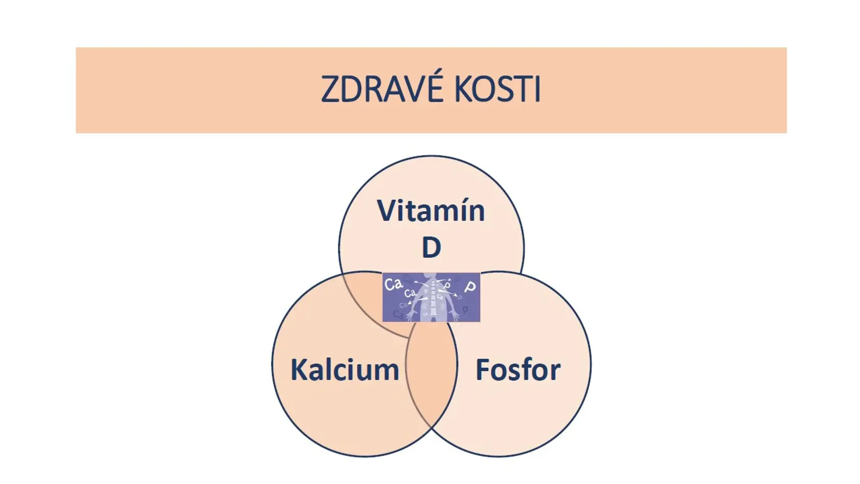 Základ pre zdravé kosti!