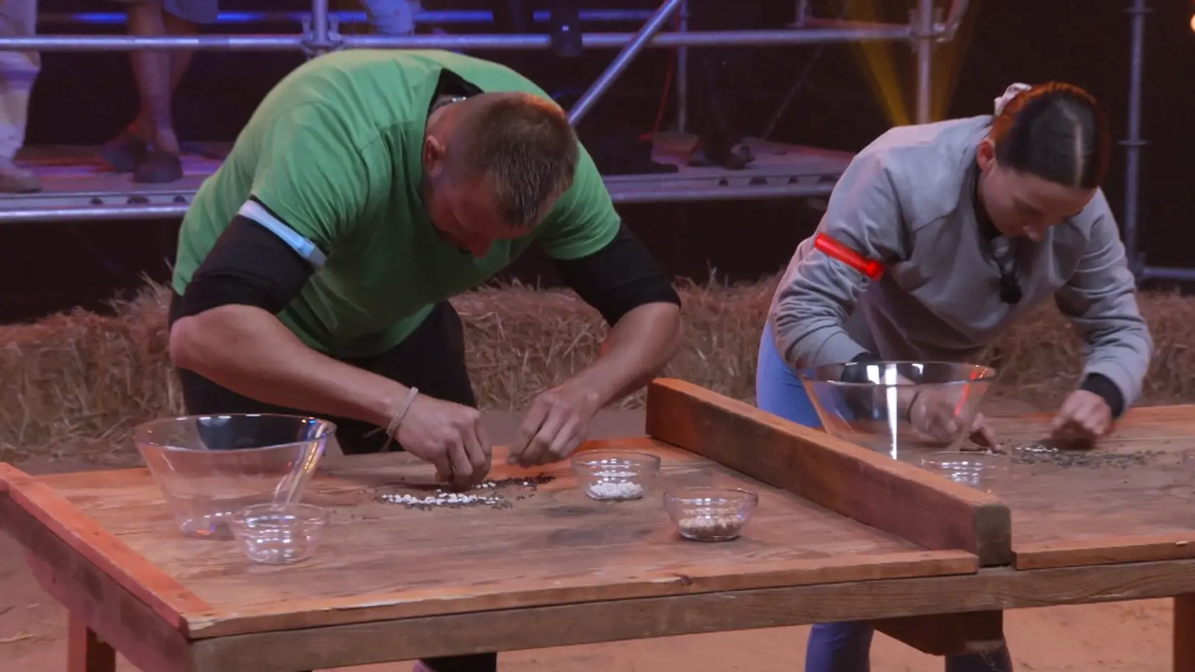 Farma duel