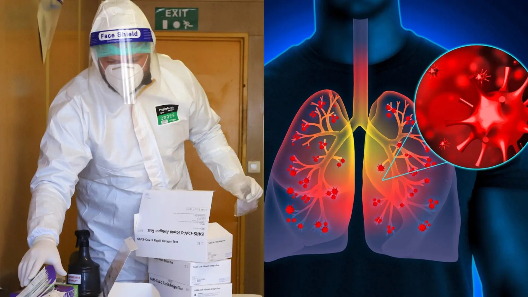 Mikas chce všetky odobraté PCR vzorky sekvenovať v laboratóriu.