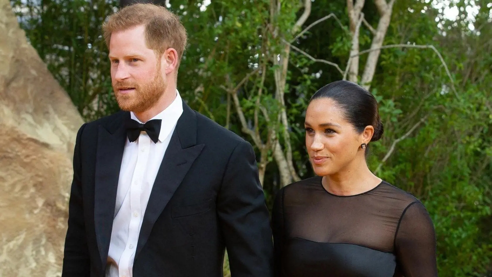 Princ Harry, vojvodkyňa Meghan