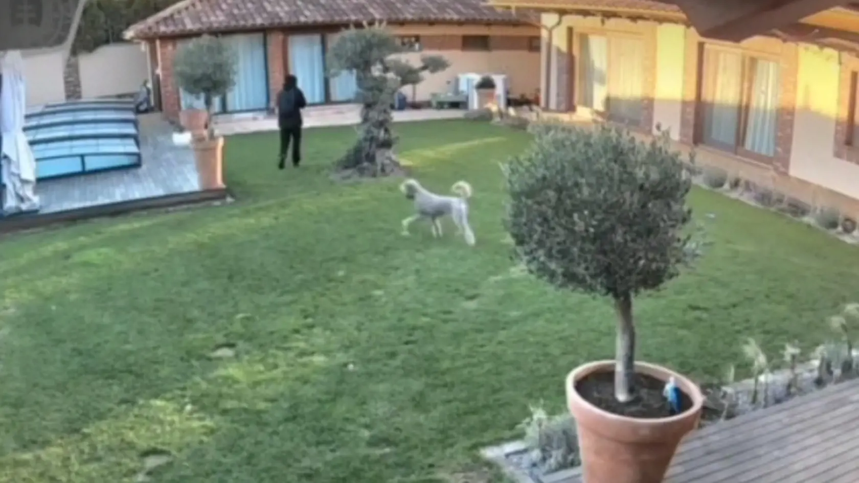 Rytmus zverejnil na Instagrame video, ako sa ku nim nedávno vlámal zlodej.
