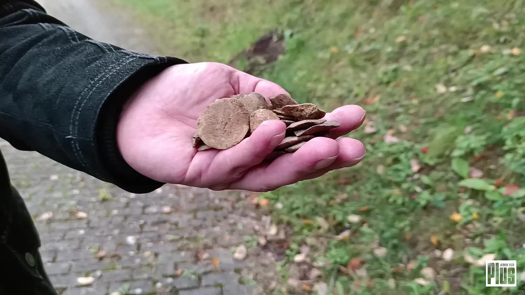 Kúpeľné mesto Bojnice je známe svojou úžasnou históriou. Našlo sa tu množstvo skamenelín i kosti z mamuta, najnovší objav však vyráža dych svojím množstvom. Drobné skameneliny, ktoré vyzerajú ako mince sa totiž sypú zo svahu po tisíckach!