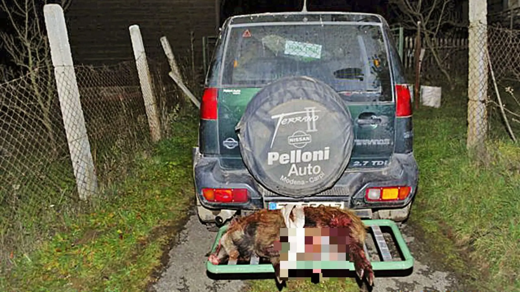 Pred pár rokmi chytili policajti pri Novej Bani pytliaka s uloveným diviakom.