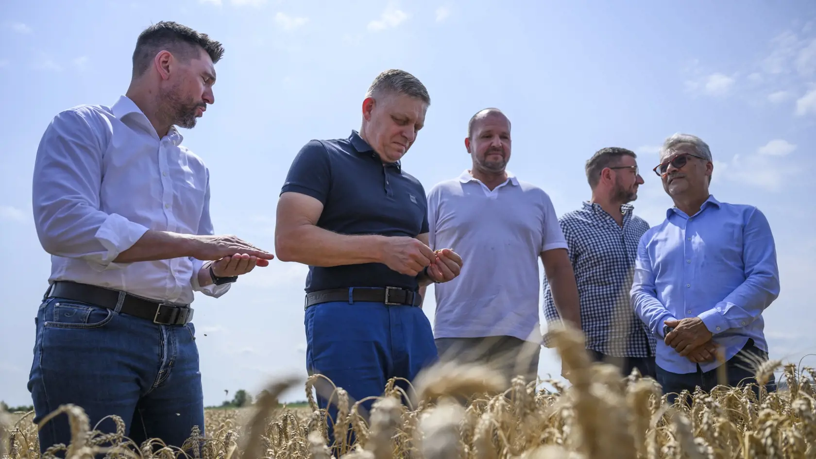 Na snímke zľava minister pôdohospodárstva a rozvoja vidieka SR Richard Takáč (Smer-SD), predseda vlády SR Robert Fico (Smer-SD), predseda Slovenskej poľnohospodárskej a potravinárskej komory (SPPK) Andrej Gajdoš a podpredseda SPPK Emil Macho pózujú v žite počas žatvy.