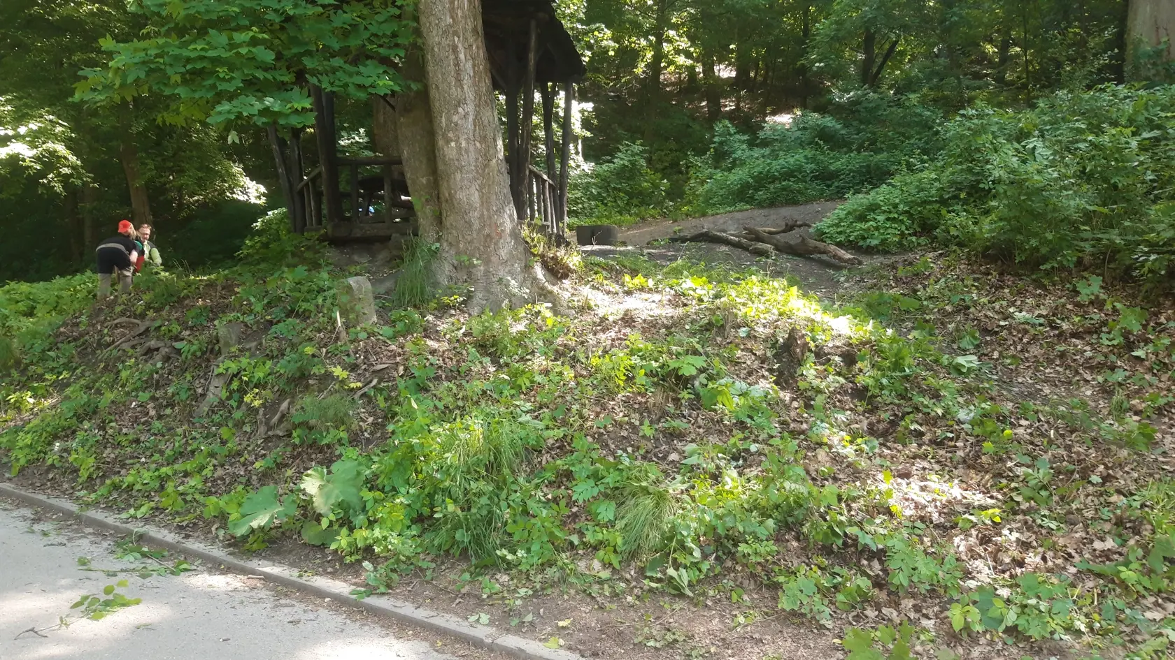 Na Partizánskej lúke v Bratislave síce opekať nemôžete, ale grilovať v postavených a kontrolovaných griloch je dovolené.