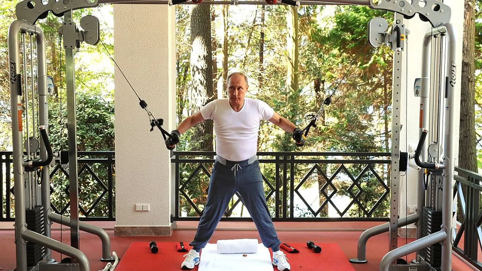 Okrem svojho hlavného sídla má Putin množstvo sídiel po celom Rusku. Jedným z najviac medializovaných je Bocharov Ruchey v Soči.

Dokončený bol v roku 1955 a objednal ho Kliment Vorošilov, sovietsky maršál a silák za Josifa Stalina. Túto vládnu daču navštevovali sovietski vodcovia ako Chruščov a Brežnev. V modernom Rusku sa Bocharov Ruchey stal oficiálnym letným sídlom ruského prezidenta a je to jediná vládna chata pri Čiernom mori.