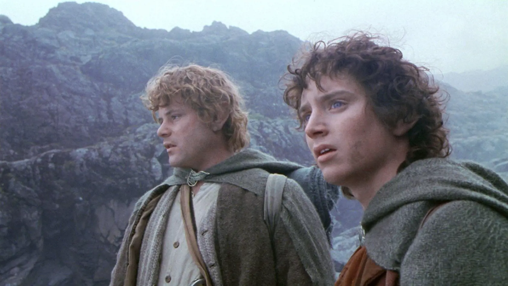 Elijah Wood ako Frodo (film Pán prsteňov)