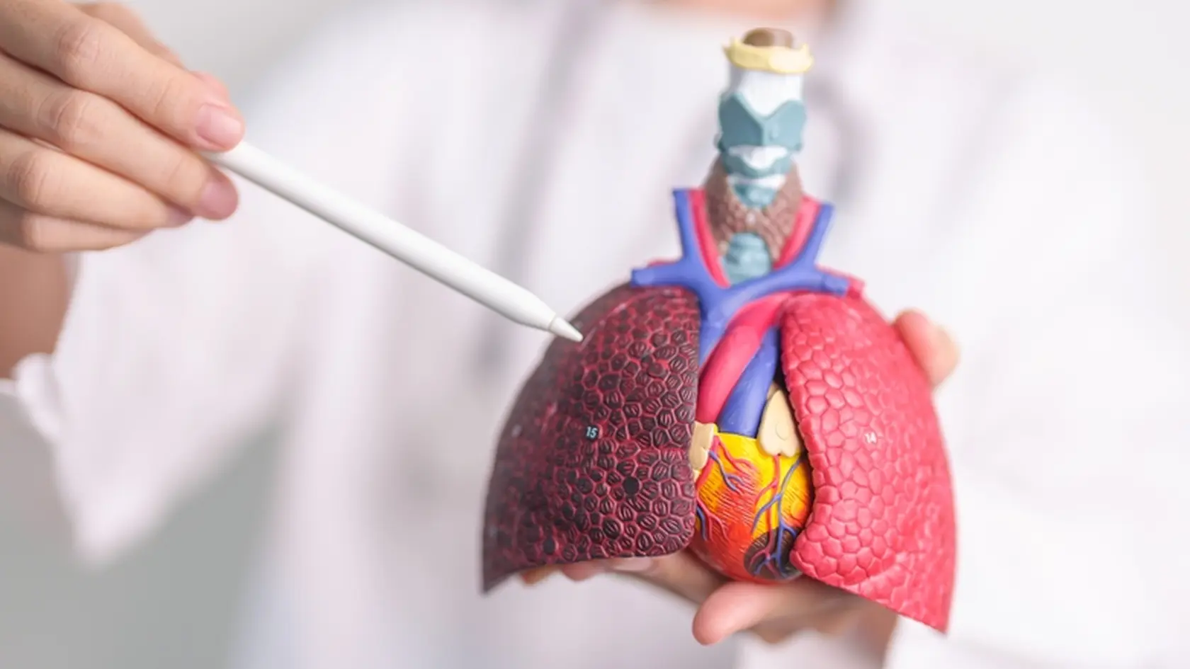 Tuberkulóza v pľúcach vyvoláva zápal a tvorbu ložísk (tzv. tuberkulómy) – sú to malé zapuzdrené miesta s odumretým tkanivom. Poškodzuje pľúcne tkanivo, čo vedie k kašľu, bolestiam na hrudi, vykašliavaniu krvi a ťažkostiam s dýchaním.