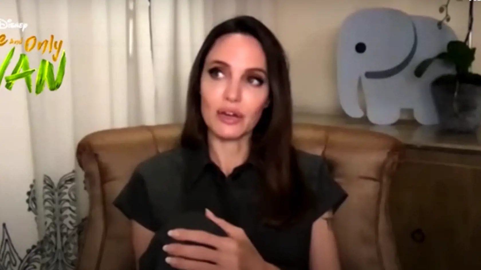 Angelina je poriadna kočka.