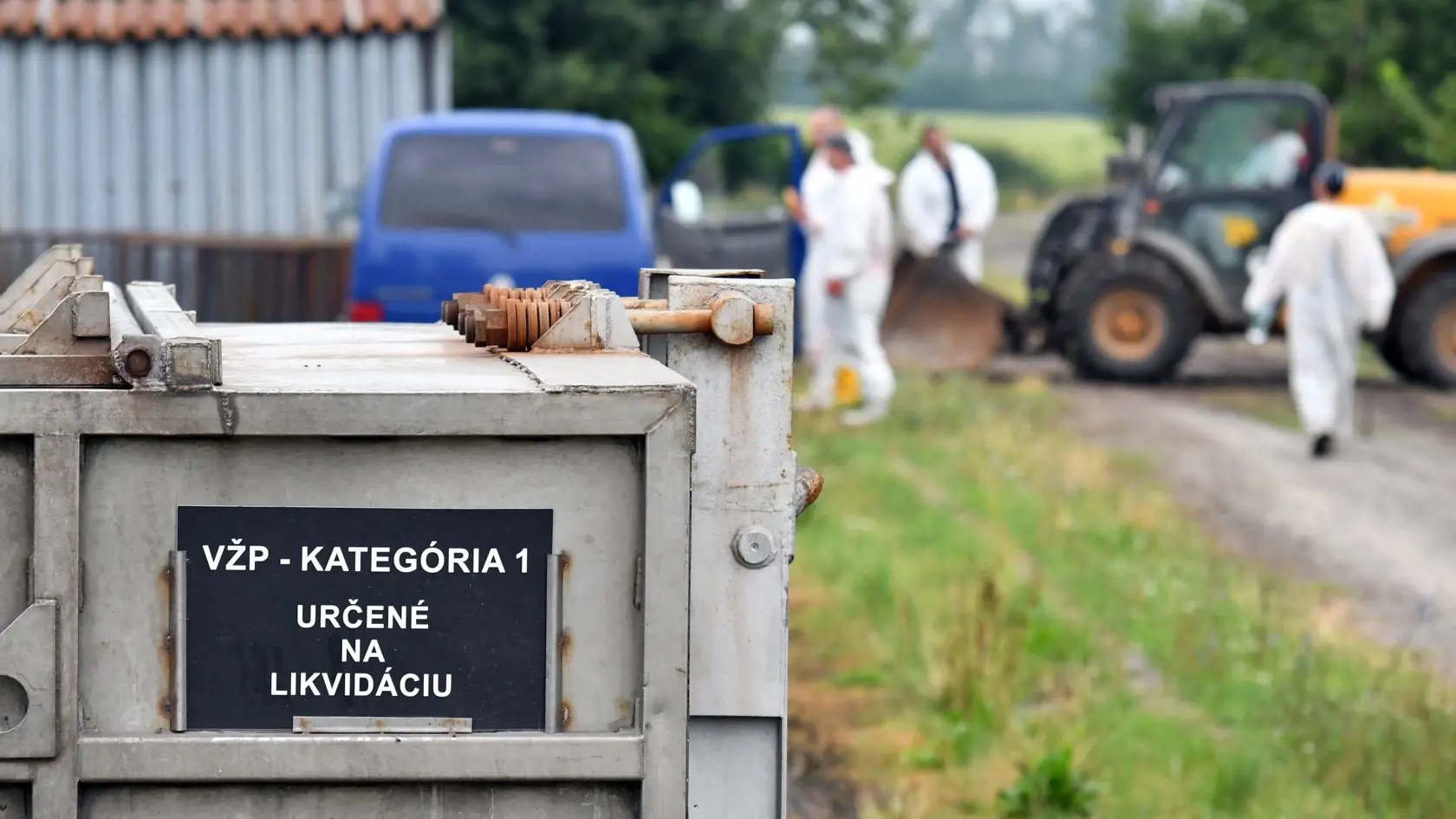 Na snímke likvidácia domácich ošípaných na chovnej farme spoločnosti Agrozoran, s.r.o. Michaľany v obci Luhyňa v okrese Trebišov, kde laboratórne testy v pondelok 17. augusta 2020 potvrdili výskyt afrického moru ošípaných (AMO). Nariadené preventívne usmrtenie zahŕňa všetkých zhruba 380 chovaných ošípaných. Luhyňa, 19. augusta 2020. FOTO TASR - Roman Hanc