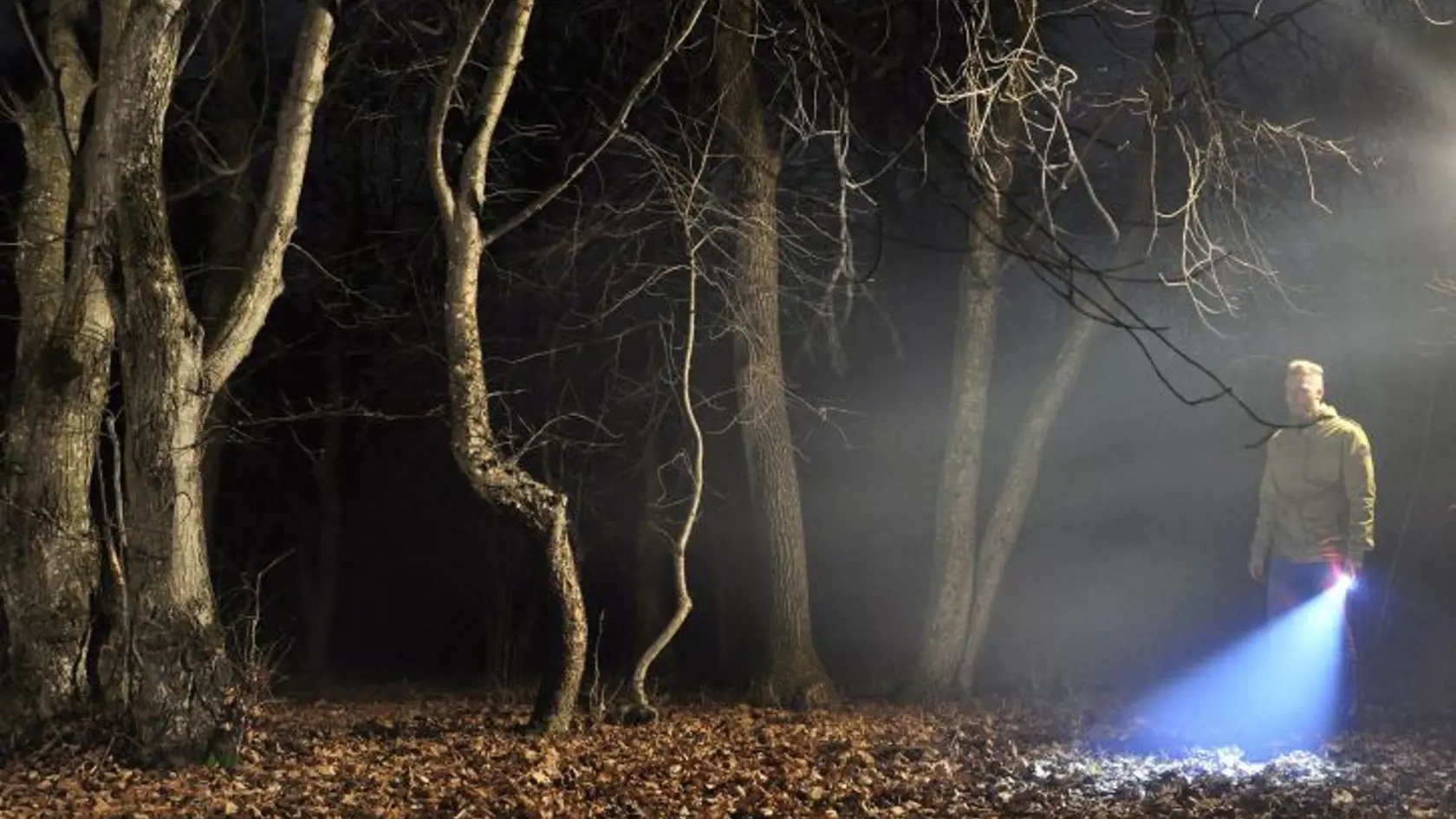 Hoia Forest v rumunskej Transylvánii.