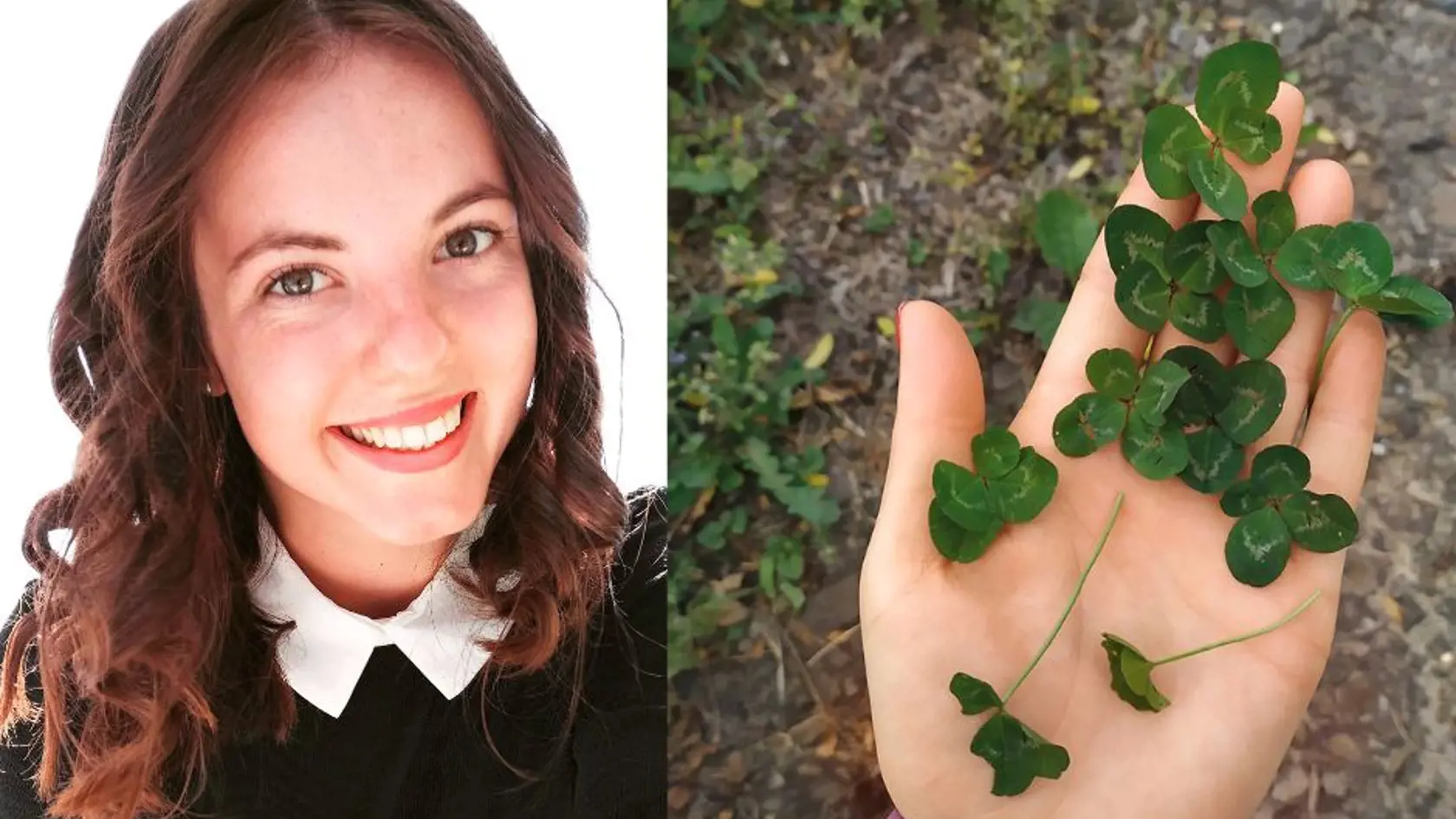 Sofia nachádza samé štvorlístky