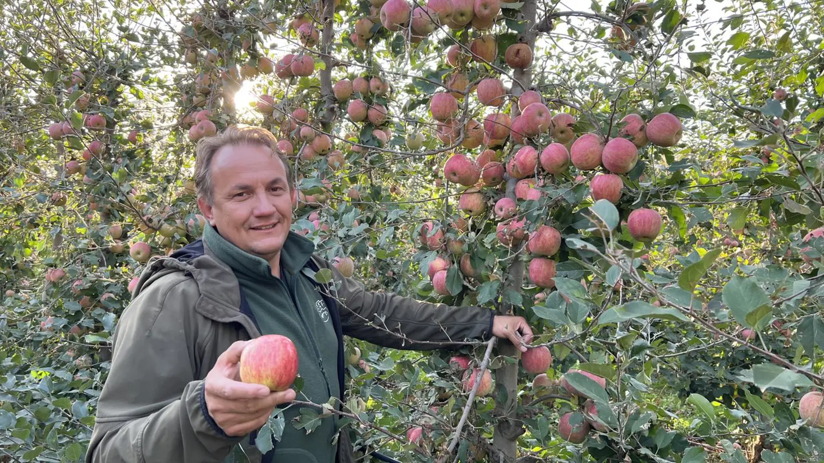 Pestovanie jabĺk u nás má dlhú tradíciu a v minulosti ste snáď nenašli na dedine záhradu, ktorá by nemala jabloň. Ľudia u nás po stáročia pestovali jablká. Doba sa zmenila a množstvo vypestovaných jabĺk sa u nás rapídne znížilo.