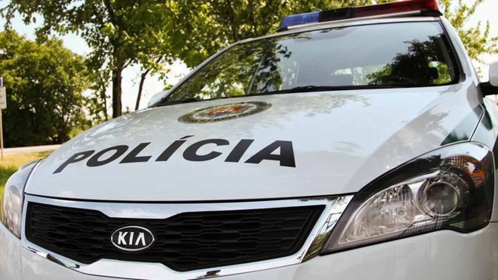 ikona policia