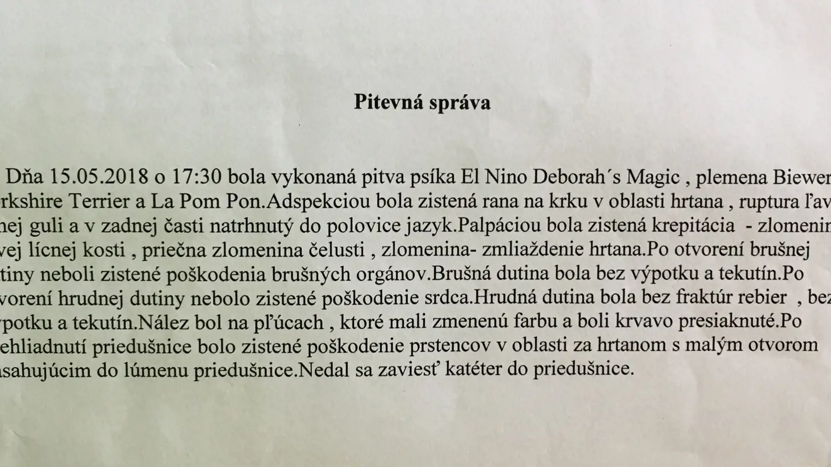 Zranenia, ktoré El Nino utrpel po útoku statného moskovského strážneho psa sú opísané v pitevnej správe. Podľa majiteľky psíka ich nemal šancu prežiť.
