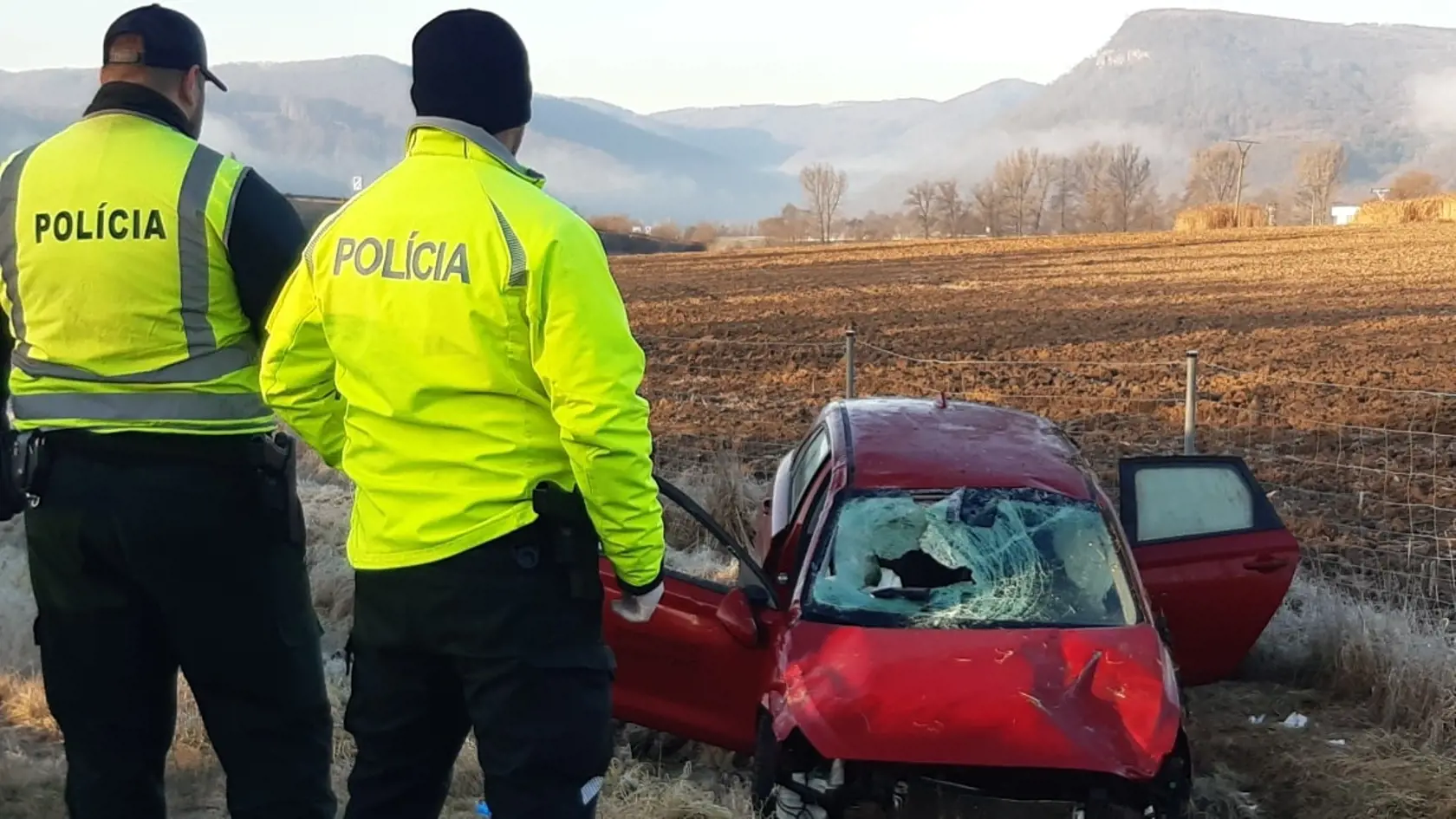 Podľa doposiaľ zistených informácií k nehode došlo tak, že 28-ročný vodič vozidla Toyota jazdiaci v smere od Zvolena na Budču dostal pravdepodobne šmyk.