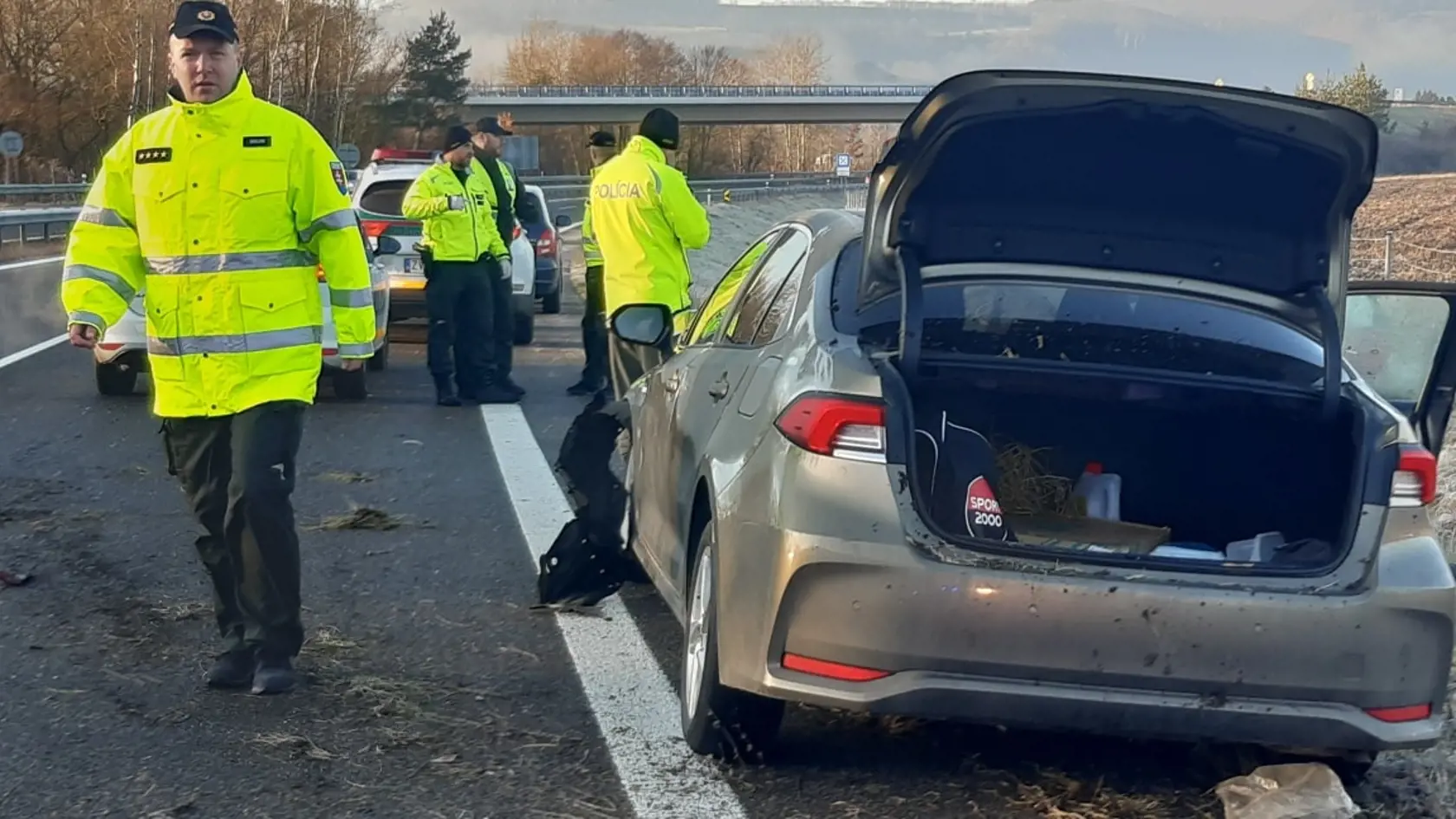 Podľa doposiaľ zistených informácií k nehode došlo tak, že 28-ročný vodič vozidla Toyota jazdiaci v smere od Zvolena na Budču dostal pravdepodobne šmyk.