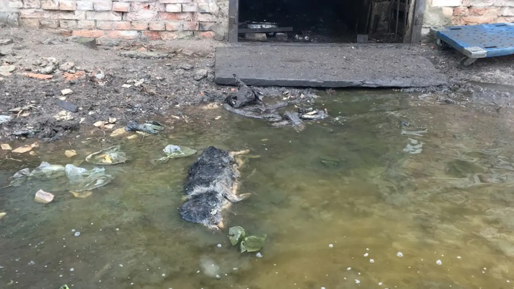 Otrasný pohľad na farmu, kde sa točila reality šou Farmár hľadá ženu.