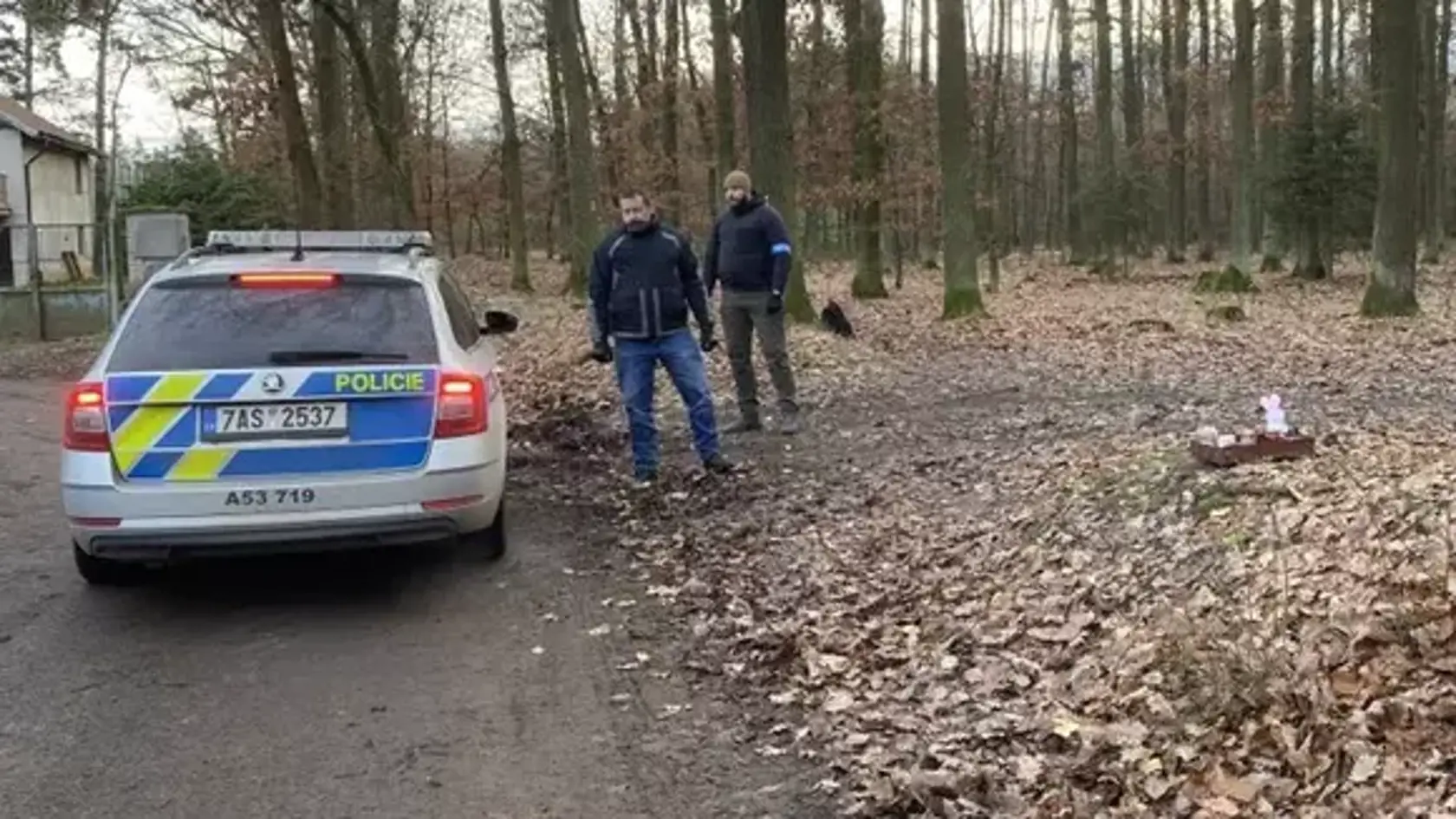 Českom otriasla dvojnásobná vražda, ktorá sa stala v piatok 15. decembra v Klánovickom lese pri Prahe. Vrah zastrelil mladého muža a niekoľkomesačnú dcérku, ktorá bola v kočíku. Českí policajti v súčasnosti prehľadávajú les.