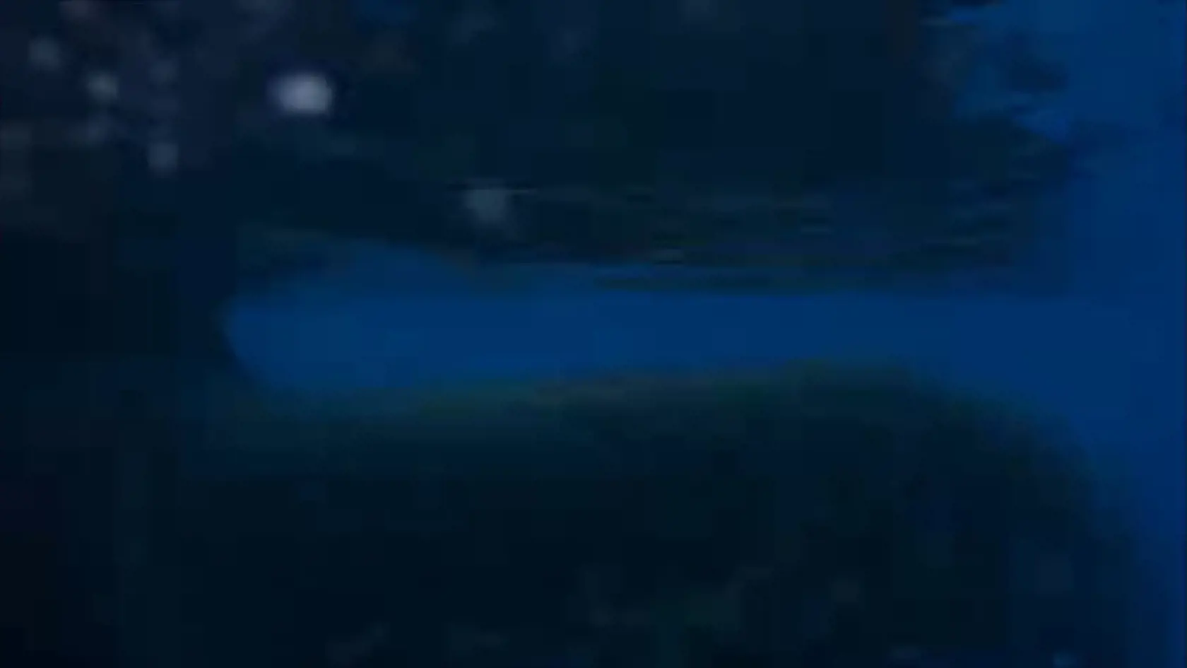 „Je to také zvláštne, vôbec sa nebojím, keď vidím žraloka vyplávať z tmy, ale pohľad na obrovskú výletnú loď z toho uhla pod ním, kde takmer zaberá celé zorné pole, to ma desí,“ znel jeden z komentárov pod videom.