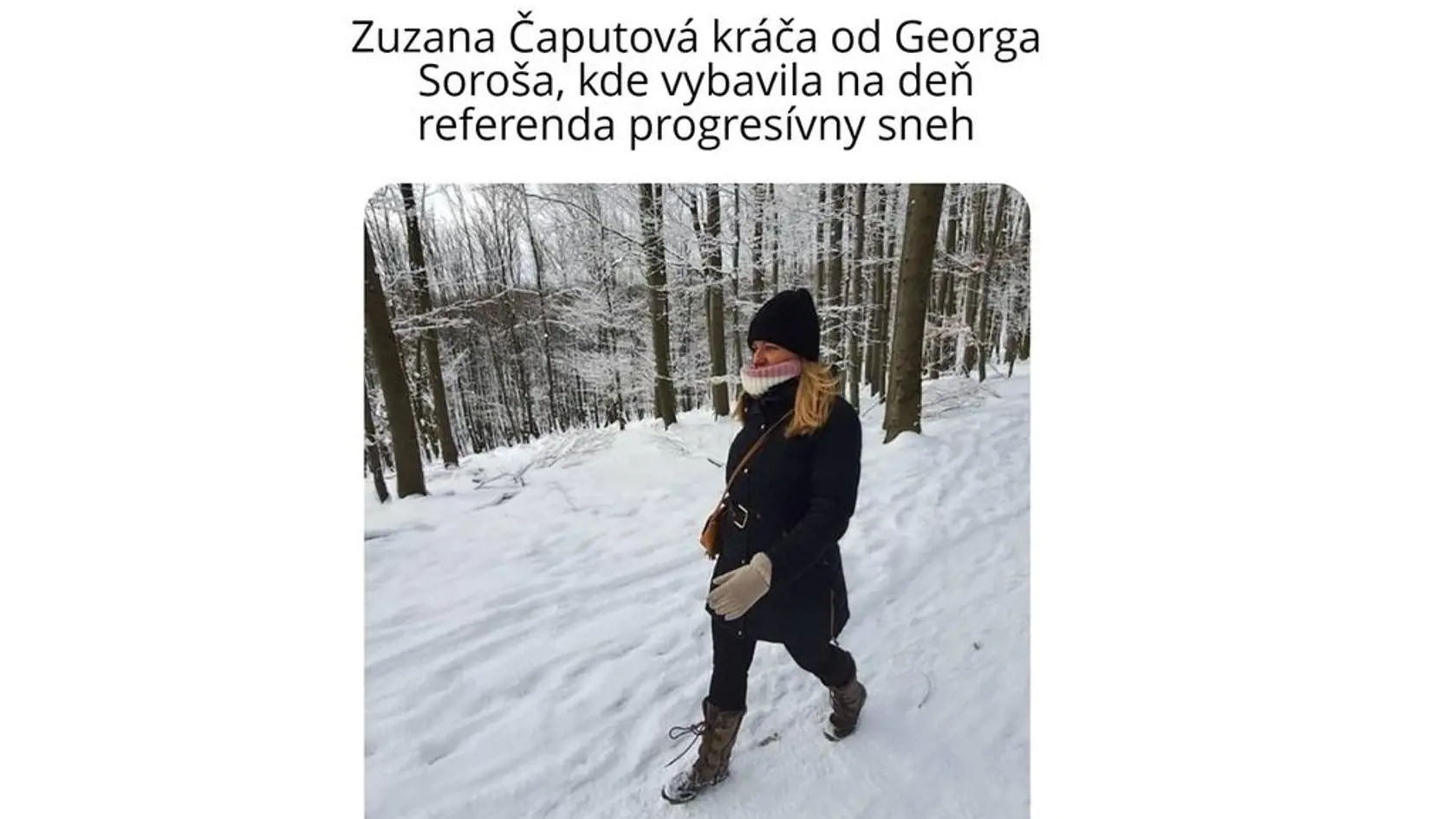 Aj takto sa na situáciu pozerali humoristi...